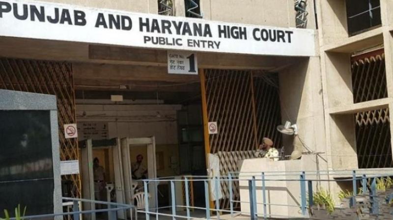  Punjab and Haryana High Court upheld the conviction and life imprisonment of seven accused in a 24-year-old murder case