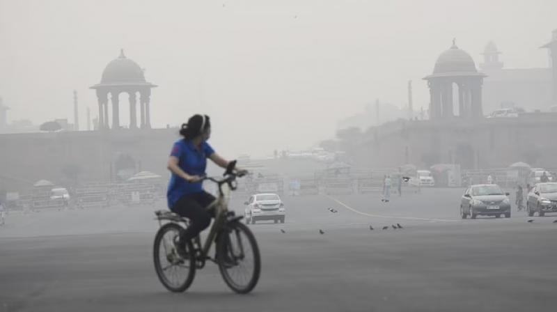 NGT said It is wrong to hold Punjab responsible for Delhi pollution news In hindi