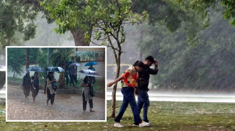 Rain in Haryana, hailstorm fell in many districts news in hindi