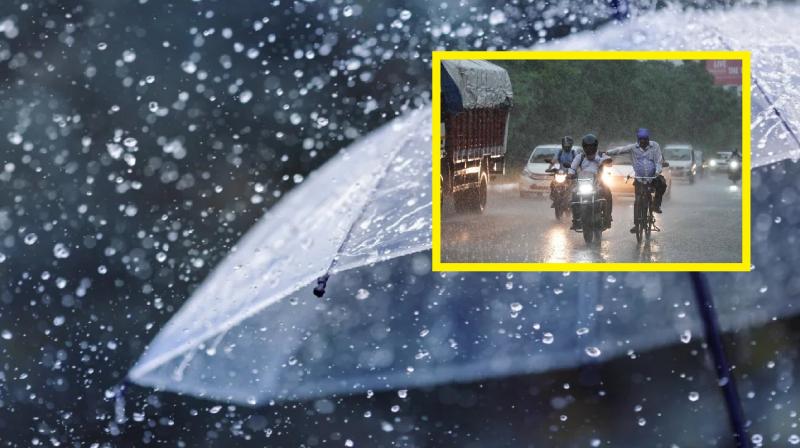 Western disturbance becomes active in Punjab, rain alert news in hindi
