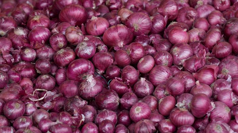 Sale stopped in Nashik wholesale market in protest against imposition of duty on onion exports(photo-pti_