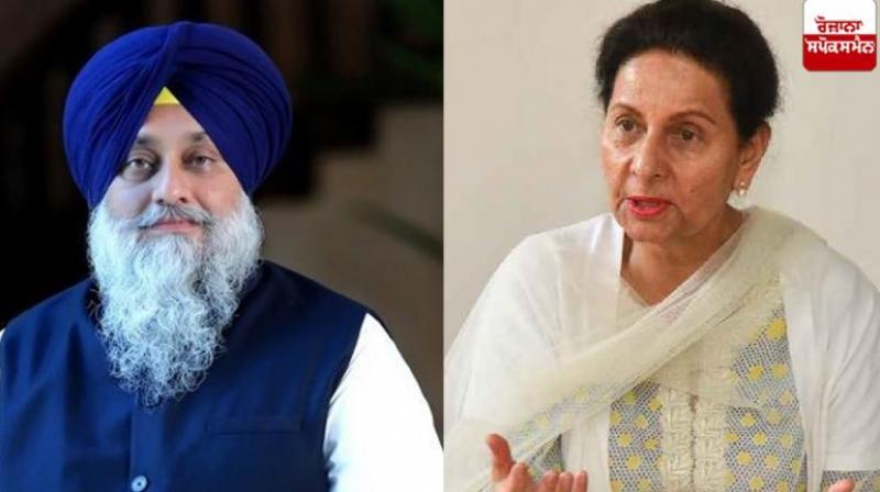 Akali-BJP alliance in Punjab on final stage, Preneet Kaur supported News In Hindi