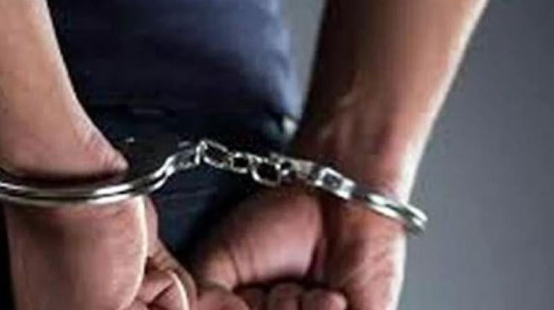 Three leopard skins seized in Odisha, one arrested