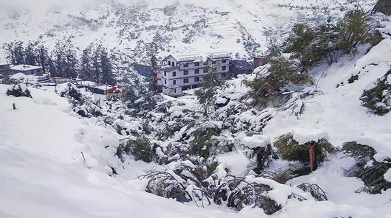 Himachal Weather Update 