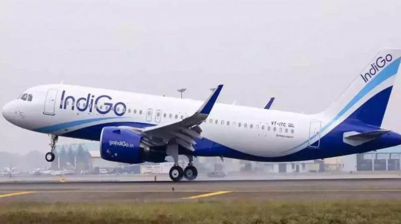 IndiGo Flight abu dhabi to delhi diverted news In Hindi