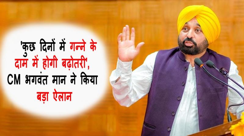 CM Bhagwant Mann big announcement 