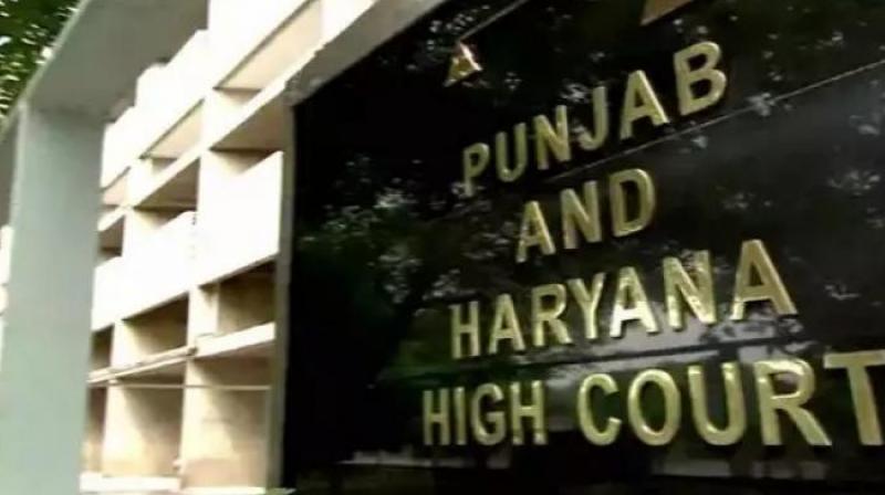 High Court imposed fine for not giving report on poor condition of cow sheds in Punjab-Haryana