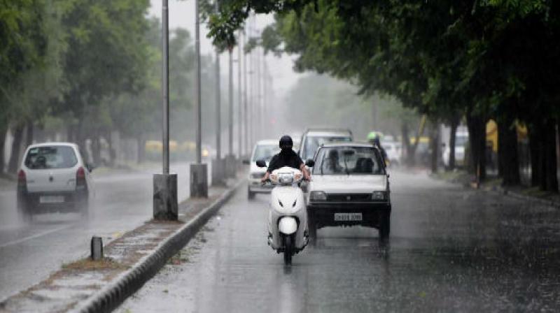 It will rain in Punjab today! Yellow alert issued news in hindi