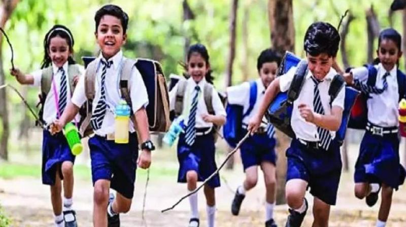 Haryana School Summer Holidays News In Hindi