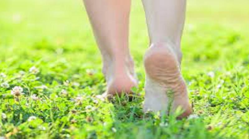  Benefits of walking barefoot on grass Health News