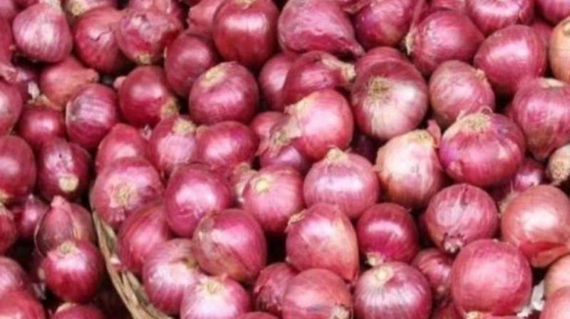 Indian government imposed 40 percent export duty on onion News In Hindi