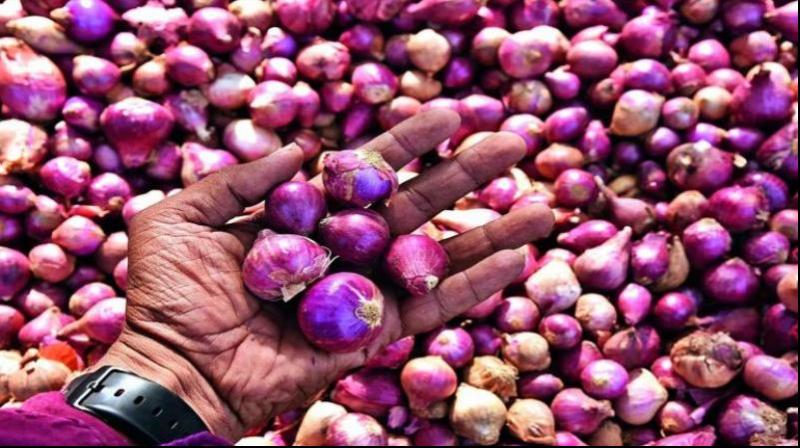 Government lifts ban on onion export, minimum export price fixed at $550 per tonne news in hindi