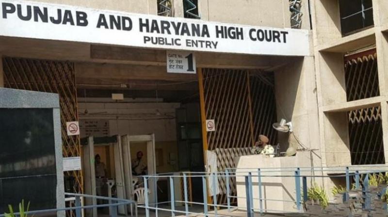 Punjab and Haryana High Court News: 'Children become victims in the fight of parents', High Court comments