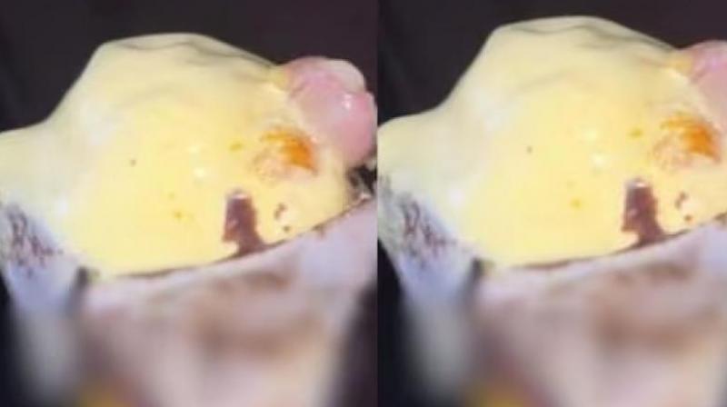 Mumbai News: Someone's severed finger came out of an ice cream cone