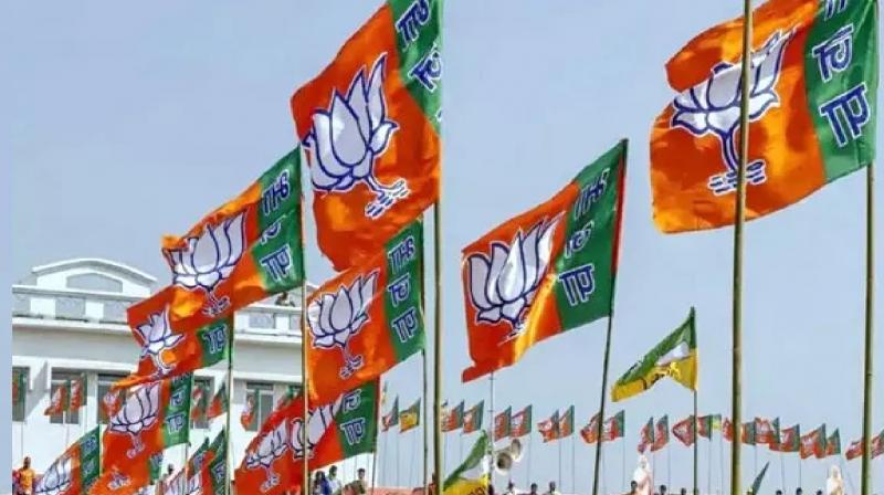 Second list of BJP candidates released for Lok Sabha elections