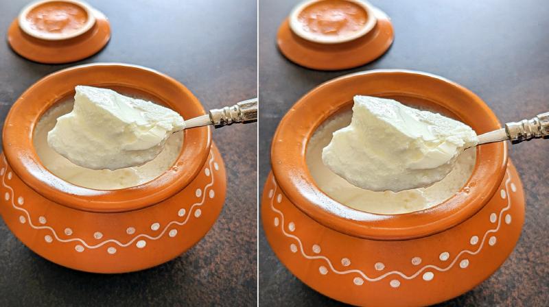 How to make thick curd at home news in hindi 