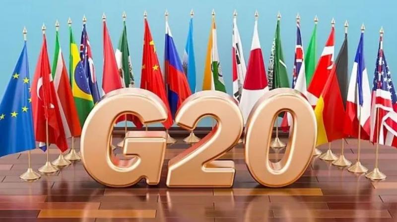 GoFirst to operate charter flights for G-20 summit (प्रतिनिधि)