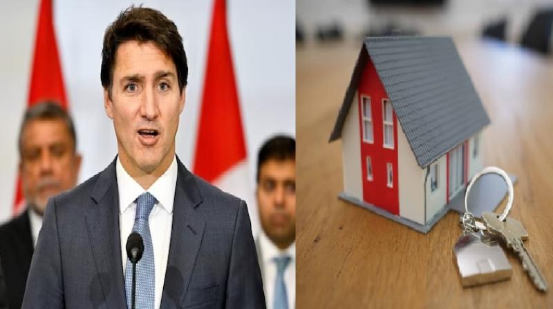 International News Canada Govt. Ban Foreign Housing Ownership News In Hindi