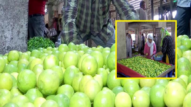 Gujarat Lemons become expensive news in hindi