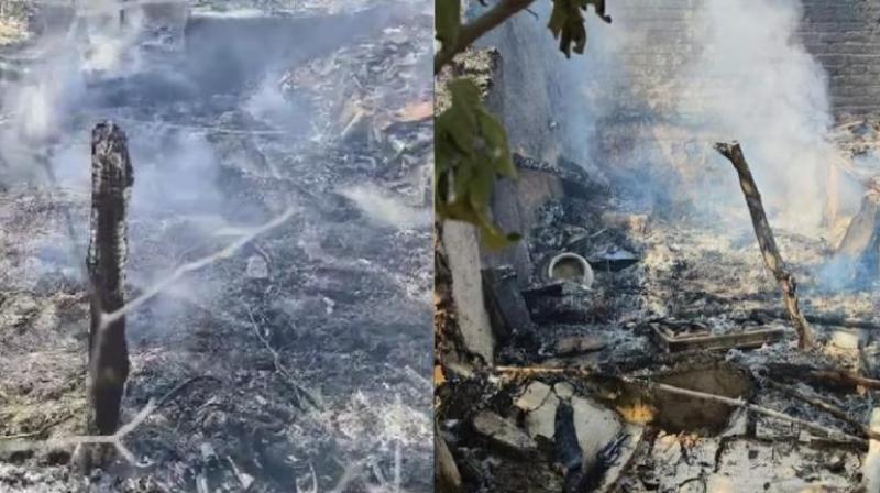  Uttar Pradesh cobra shocking news whole house burnt on fire