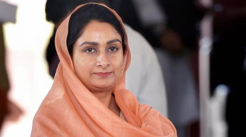 MP Harsimrat Kaur's name tops among those who spend money in lok sabha elections