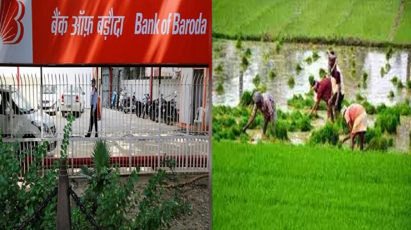 Bank of Baroda gave Rs 134 crore agriculture loan to Tamil Nadu farmers