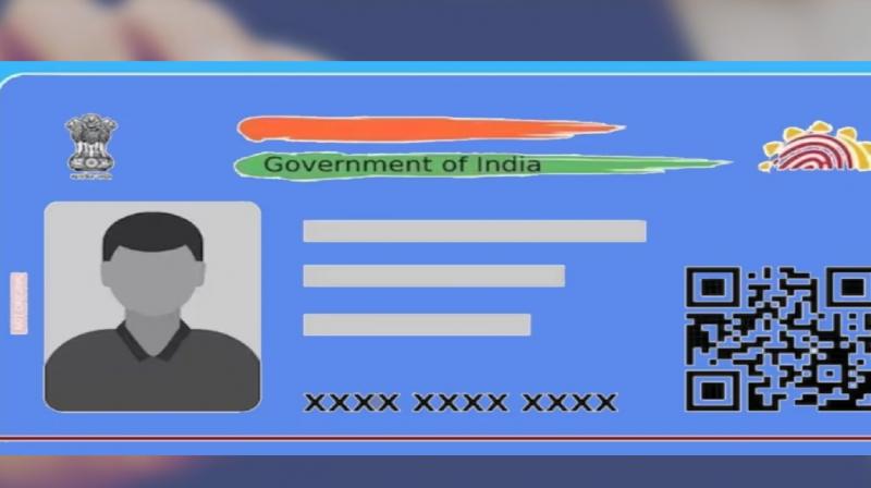 Blue Aadhaar Card 