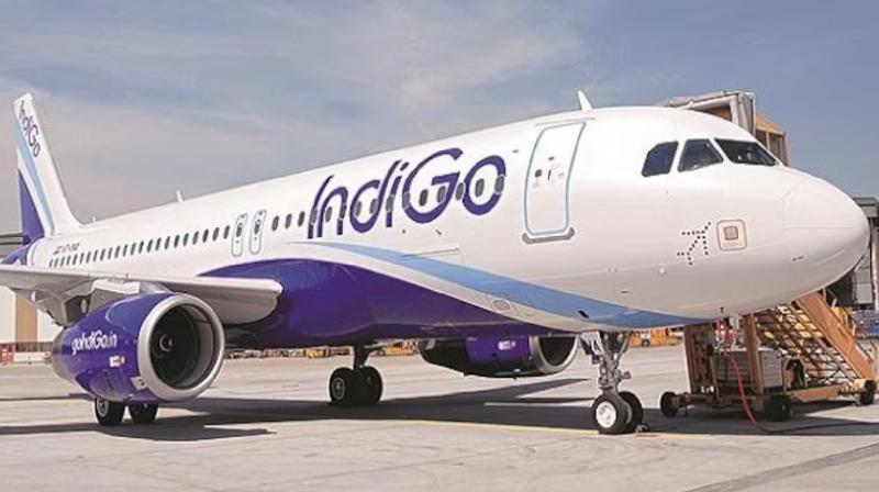 Indigo announces new flights schedule Chandigarh-Dharamsala news in hindi