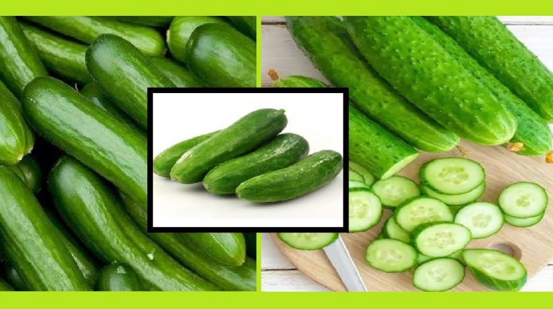 many benefits of eating cucumber, healthy news in hindi