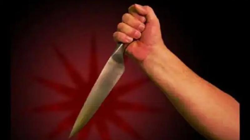 Rajasthan: Youth kills wife with sharp weapon