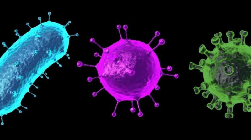 New virus found in China, patient in coma news in hindi