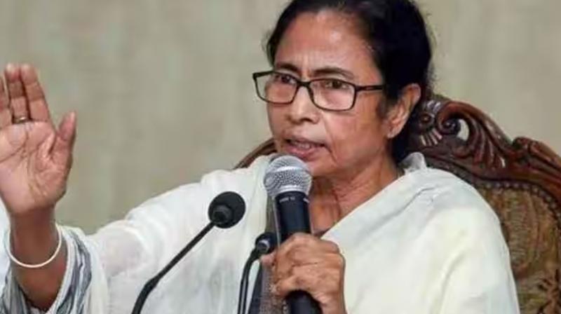 Will support Congress where it is strong: Mamata