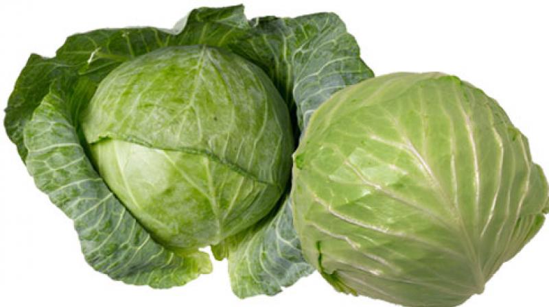 Cabbage Benefits: Eating cabbage will cure millions of diseases, know its benefits 