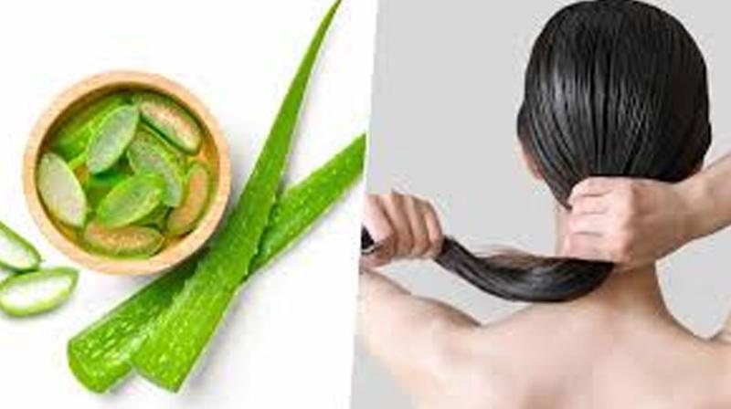 Mix this thing in aloe vera and apply it on hair, people will appreciate seeing silky hair.