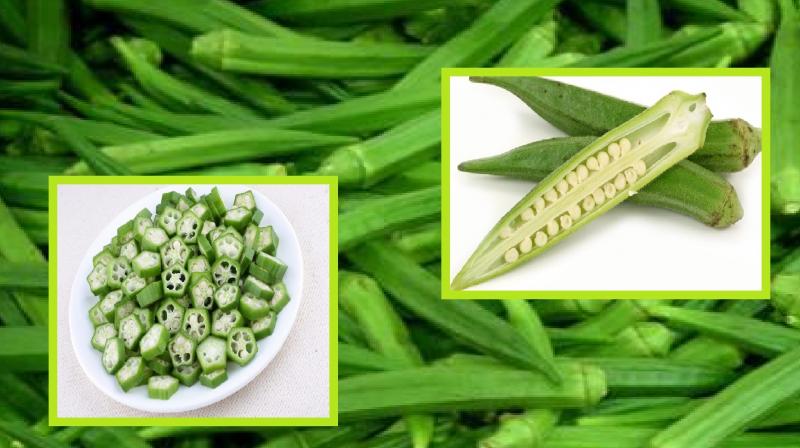benefits of ladyfinger for diabetic patients? News in hindi