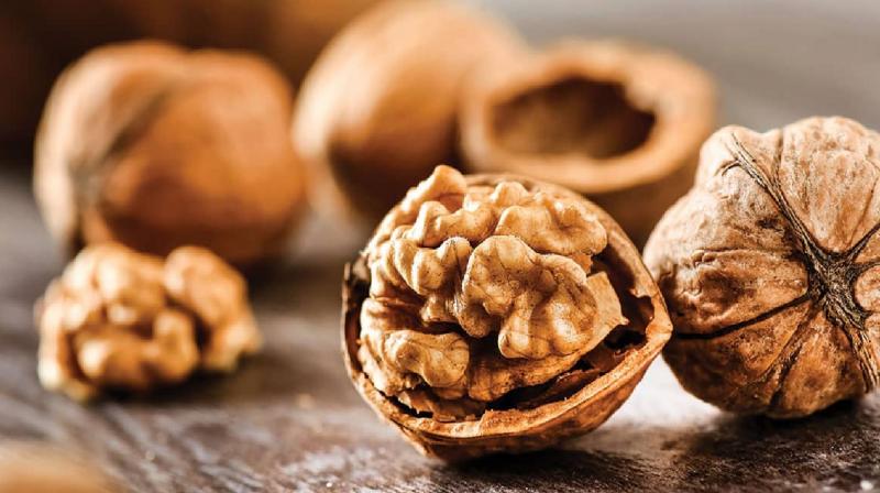 Walnut is rich in many health properties, know the benefits news in hindi