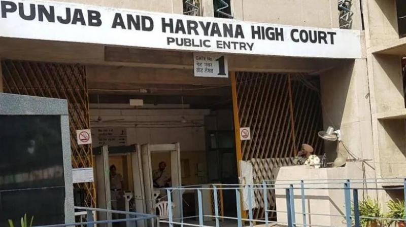 Chandigarh News: Absence of certain documents cannot deprive an employee of pension: Punjab Haryana High Court