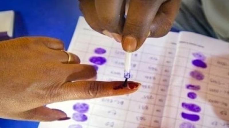 Haryana Elections 2024: 1,561 candidates filed nominations for Haryana elections 