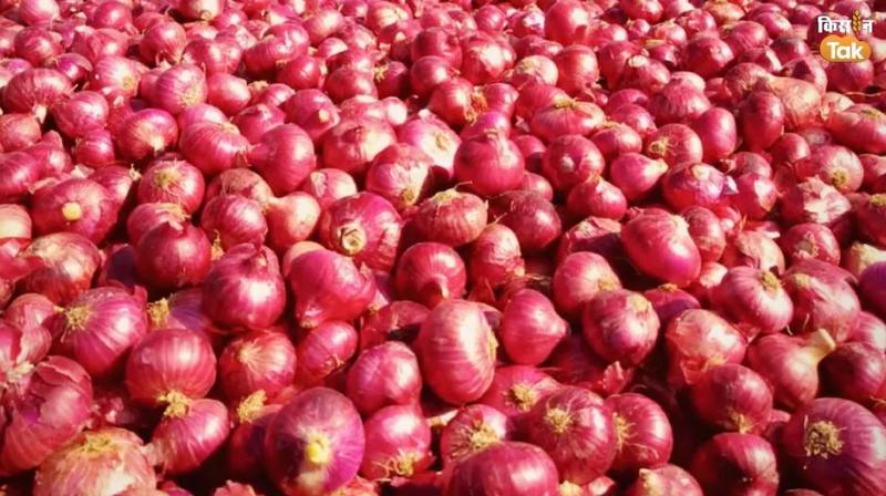 Onion Price: Relief to the public from the sale of subsidized onions, prices fell in major cities