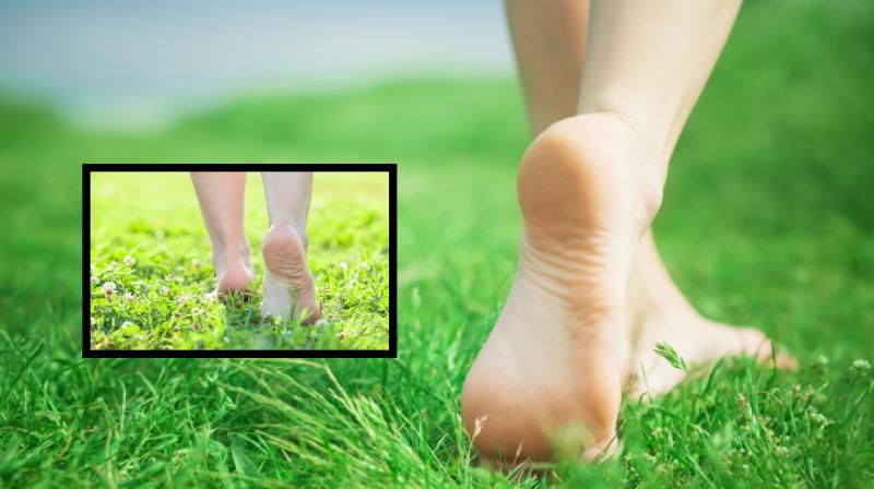 know what are the benefits of walking barefoot on grass news in hindi