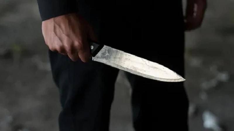 Woman stabbed and injured by her friend in Delhi, arrested