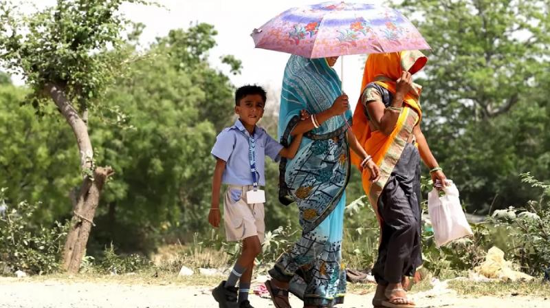 Heat wave in Haryana, mercury crosses 46 for the first time news in hindi