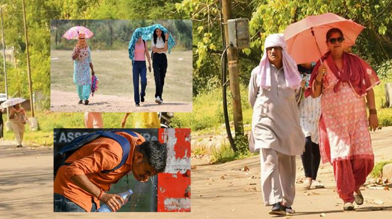 11 year heat record broken in Chandigarh, temperature 44.5°C new in hindi