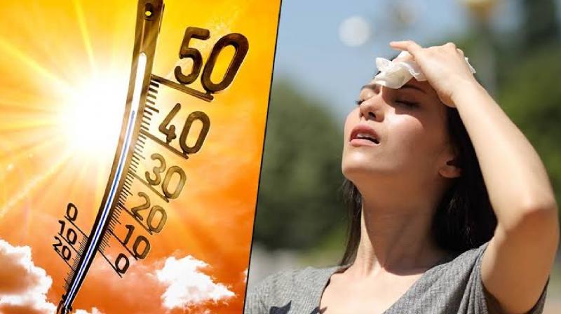 Punjab Weather Update news in hindi weather department issues heat wave alert