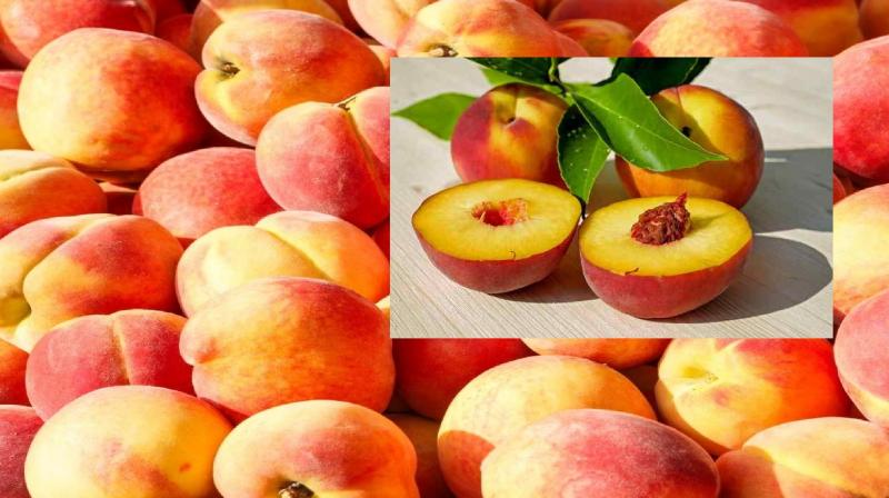 Know how consuming peach is beneficial for health news in hindi