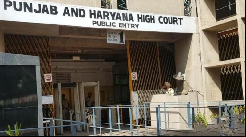 Punjab and Haryana High Court orders Haryana Government to open Shambhu Border closed roads 