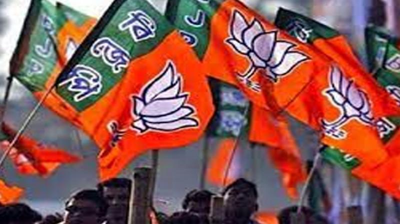 BJP releases list of 21 candidates for Mizoram elections