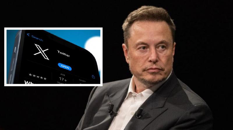  Brazil bans Elon Musk's social media platform  'X'  news in hindi, 