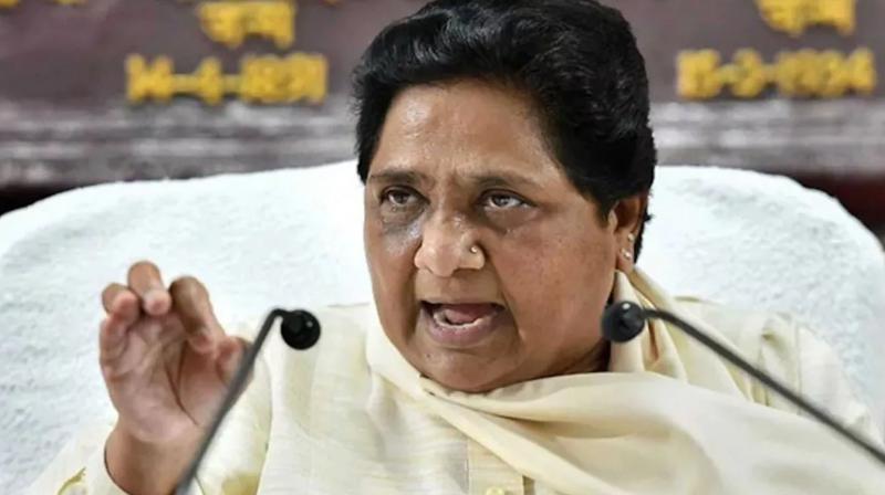 Mayawati's advice to Congress and BJP - hatred towards each other will not help the country