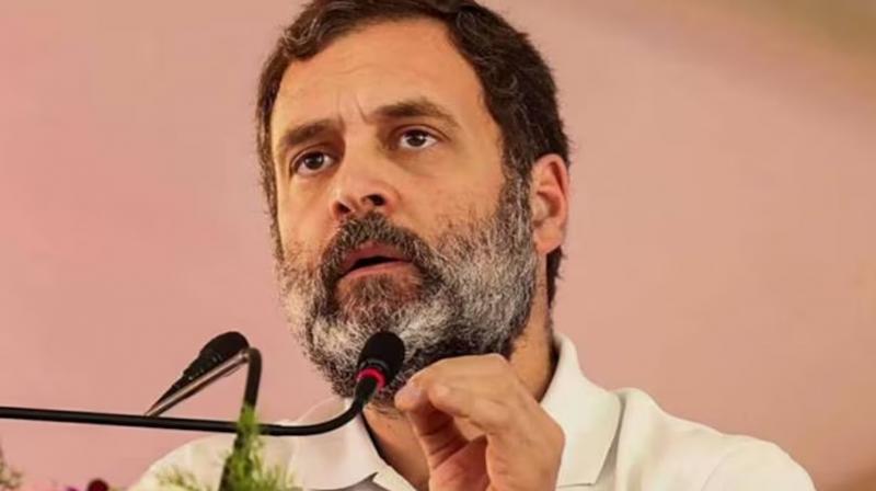 Fighting for democracy, not afraid: Rahul